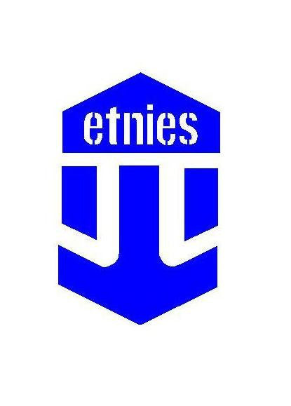 Etnies Logo | Die Cut Vinyl Sticker Decal | Blasted Rat