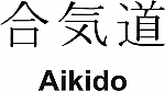 Aikido Kanji JDM Racing | Die Cut Vinyl Sticker Decal | Blasted Rat