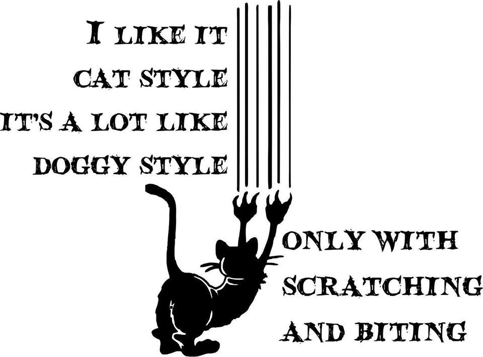 I Like It Cat Style - It's a Lot Like Doggy Style But with Scratching & Biting - 23" Die Cut Vinyl Wall Decal Sticker