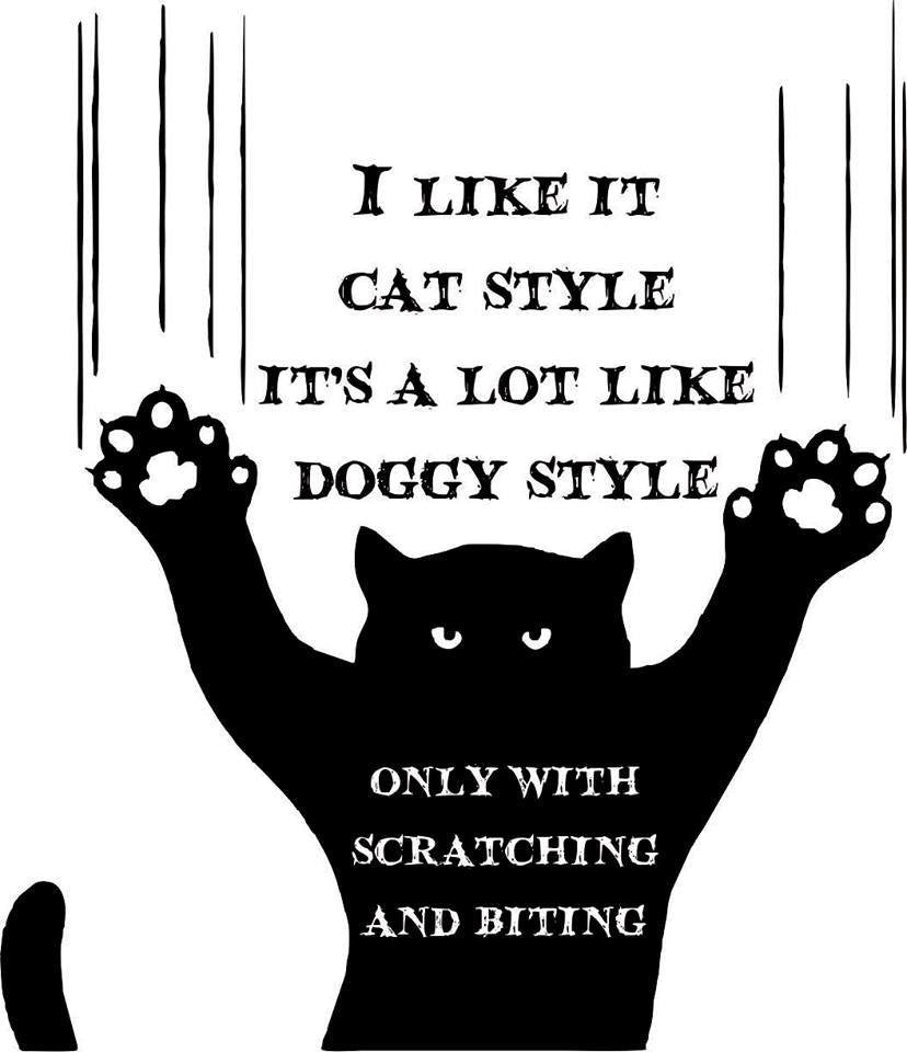 I Like It Cat Style - It's a Lot Like Doggy Style But with Scratching & Biting - 23" Die Cut Vinyl Wall Decal Sticker