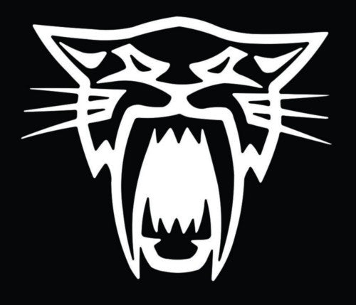 Arctic Cat - Die Cut Vinyl Sticker Decal