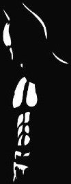 Batman Silhouette  - Die Cut Vinyl Sticker Decal