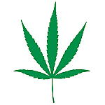 Cannabis JDM Racing | Die Cut Vinyl Sticker Decal