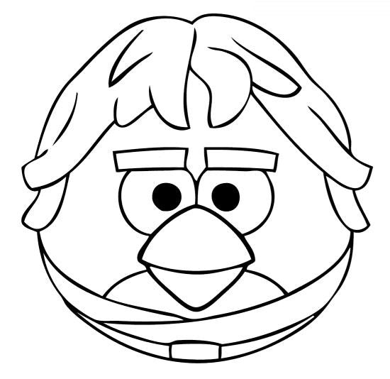 Angry Birds Star Wars Luke | Die Cut Vinyl Sticker Decal | Blasted Rat