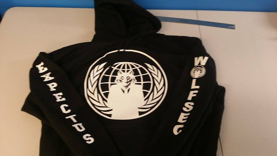 #Wolfsec Anonymous Crest Expect Us Wolf Hoodie