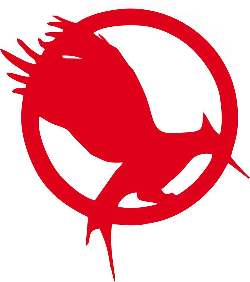 The Hunger Games Saga Catching Fire Logo | Die Cut Vinyl Sticker Decal | Blasted Rat