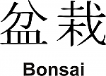 Bonsai Kanji JDM Racing | Die Cut Vinyl Sticker Decal | Blasted Rat