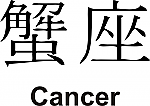 Cancer Kanji JDM Racing | Die Cut Vinyl Sticker Decal | Blasted Rat