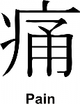 Pain Kanji JDM Racing | Die Cut Vinyl Sticker Decal | Blasted Rat