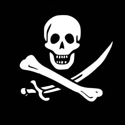 One Piece Jolly Roger | Die Cut Vinyl Sticker Decal | Blasted Rat